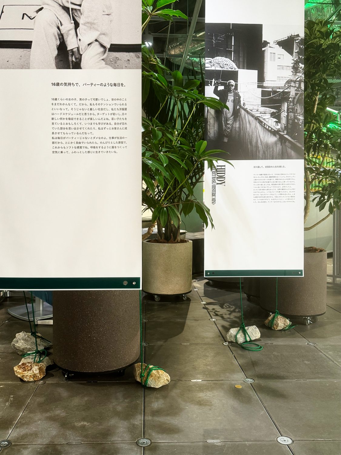 HARAJUKU to Koi Jinsei