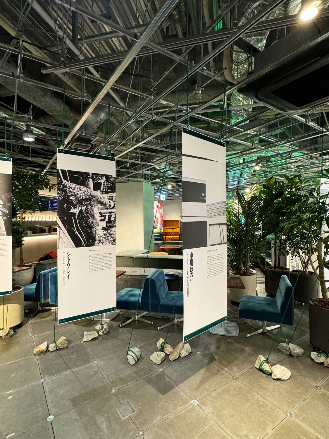 HARAJUKU to Koi Jinsei